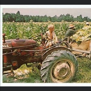 Meet your Posher, Brower